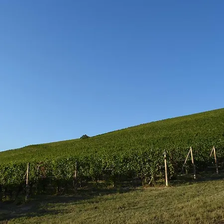 La Manzola Nuova Ferienhaus *
